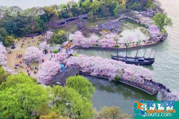 2021無(wú)錫黿頭渚櫻花節(jié)活動(dòng)有哪些 黿頭渚櫻花節(jié)活動(dòng)亮點(diǎn)？