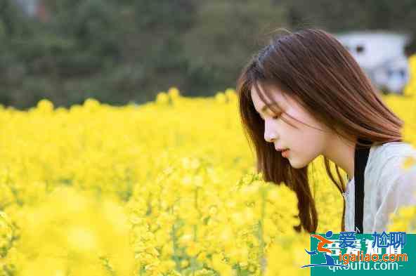 油菜花拍照姿勢(shì)圖片大全 油菜花拍照技巧？