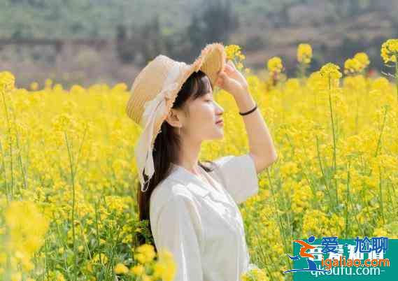 油菜花拍照姿勢(shì)圖片大全 油菜花拍照技巧？