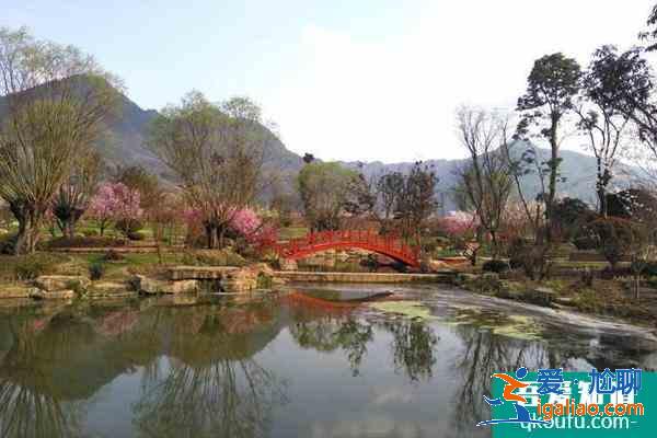 2021貴州春天旅游去哪好 春天賞花好去處？
