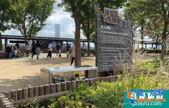 徐匯濱江后灘公園旅游路線？