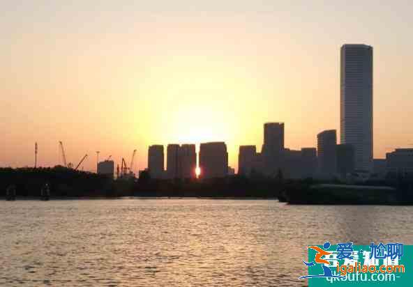 徐匯濱江后灘公園旅游路線？
