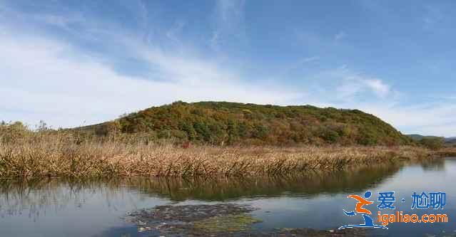 中國最大的森林城市,來這里洗洗肺吧!? 中國最大的森林城市,來這里洗洗肺吧!?