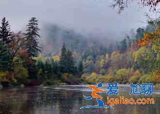 中國最大的森林城市,來這里洗洗肺吧!? 中國最大的森林城市,來這里洗洗肺吧!?