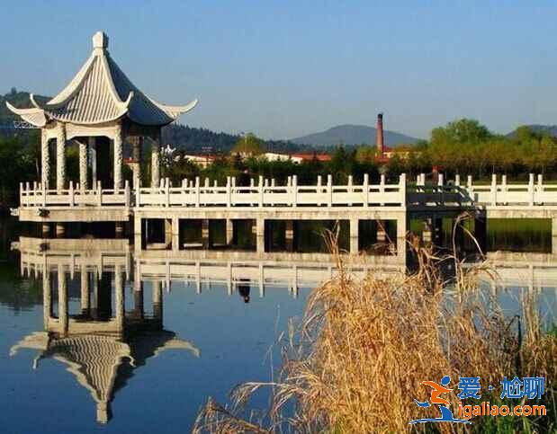 中國最大的森林城市,來這里洗洗肺吧!? 中國最大的森林城市,來這里洗洗肺吧!?