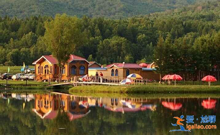 中國最大的森林城市,來這里洗洗肺吧!? 中國最大的森林城市,來這里洗洗肺吧!?