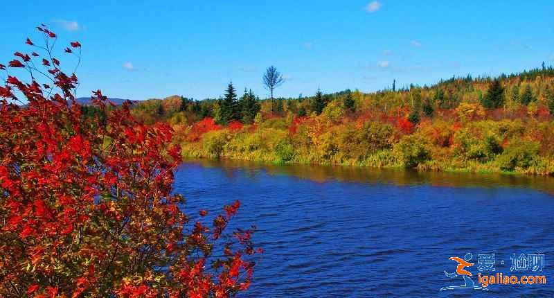 中國最大的森林城市,來這里洗洗肺吧!? 中國最大的森林城市,來這里洗洗肺吧!?