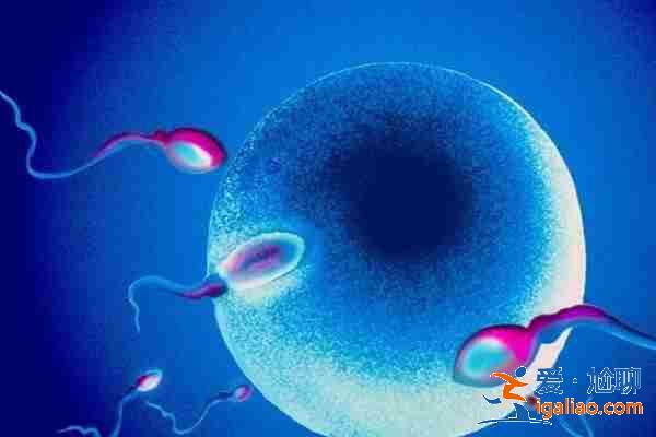 重慶私人代媽_怎么看權(quán)不權(quán)威？