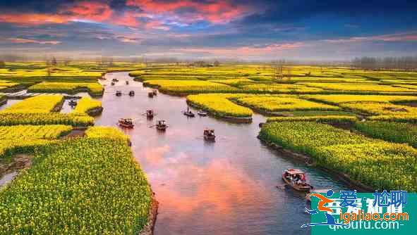 三四月國內賞花踏青地址推薦？