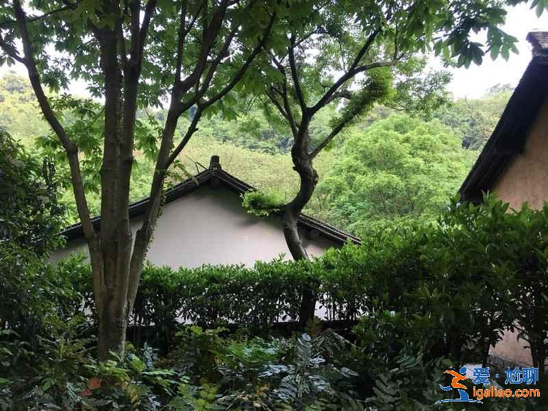 從靈隱寺到天竺三寺怎么走？需要多長時(shí)間？