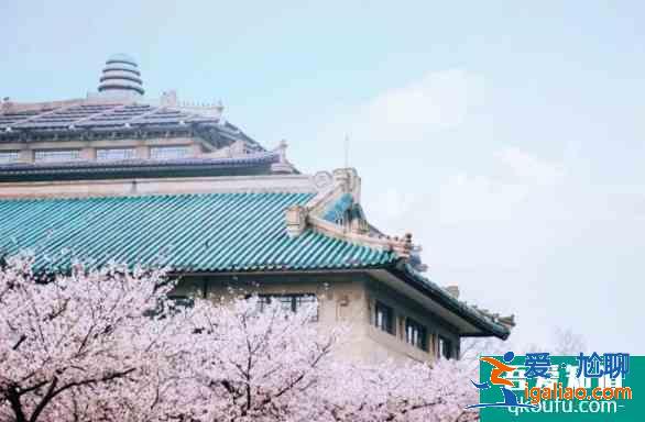 三四月國內賞花踏青地址推薦？