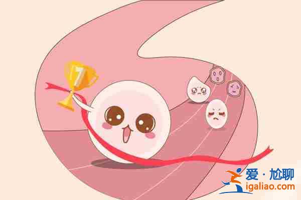 代生孩子電話【院長首薦】？
