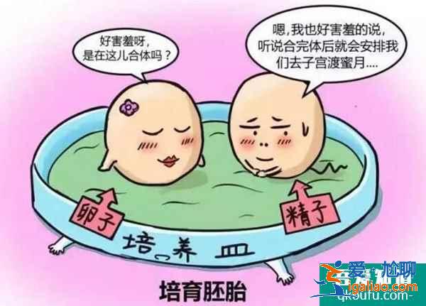 試管嬰兒的原理是什么？？