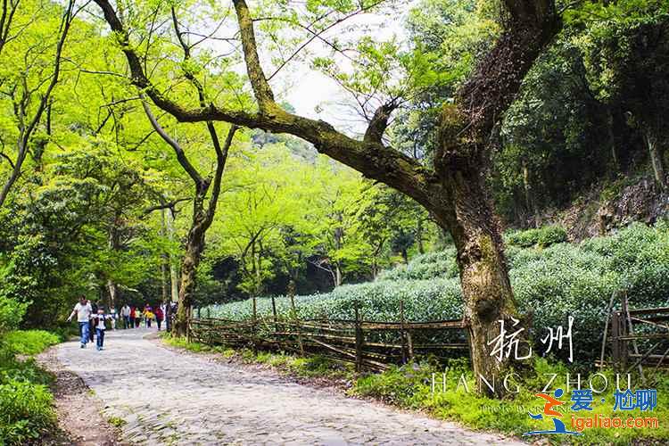 九溪煙樹要門票嗎？九溪煙樹門票多少錢？九溪煙樹門票價格是多少？？