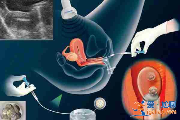 呼和浩特助孕生兒子-寶寶的成長生活? 呼和浩特助孕生兒子-寶寶的成長生活?