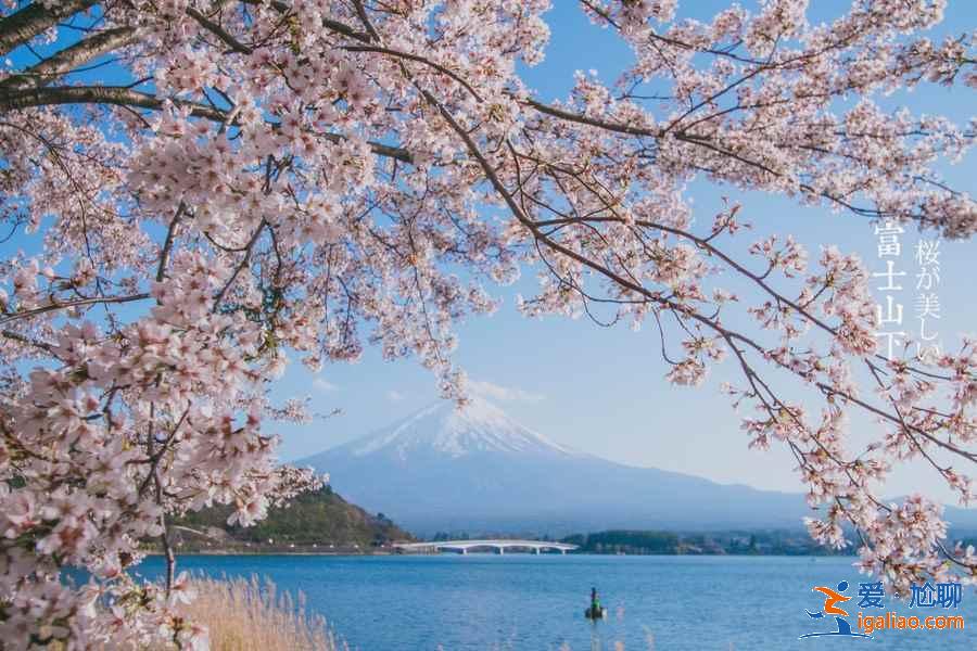 幾月觀賞富士山好，觀賞富士山最佳時間 地點 乘車？