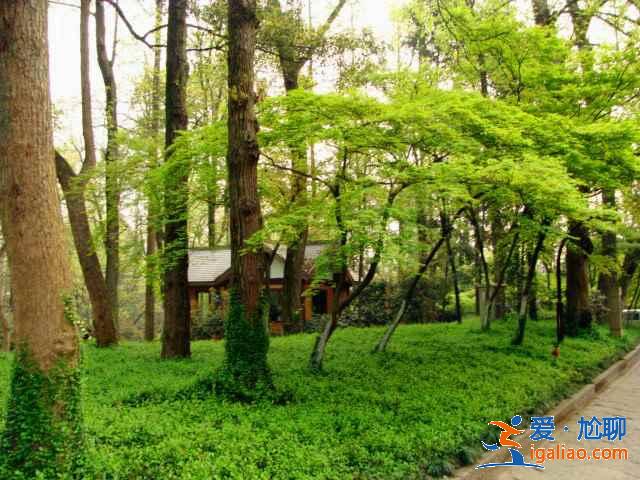 太子灣公園要不要門票？太子灣公園是免費的嗎？？