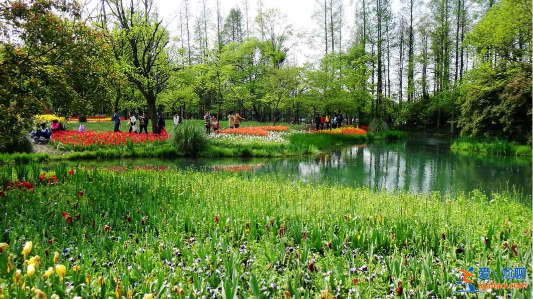 太子灣公園要不要門票？太子灣公園是免費的嗎？？