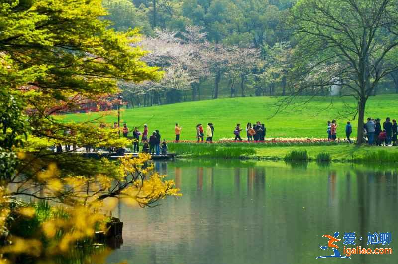 太子灣公園幾月份去好？太子灣公園最佳旅游時間是什么時候？？