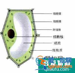 初中學習計劃？