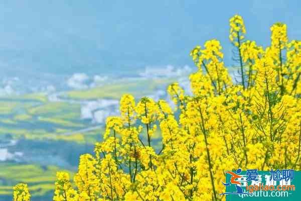 徽州哪些地方好玩 徽州春季適合去哪里？