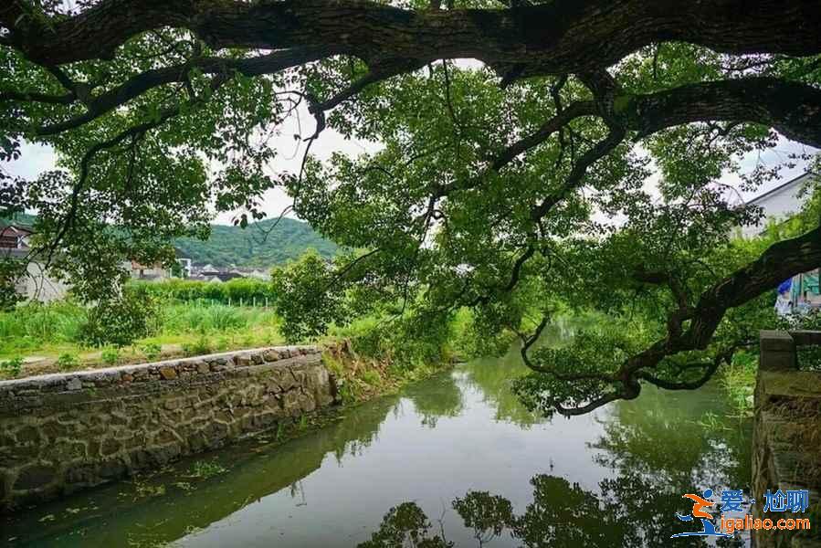 去蘇州西山住哪好，蘇州西山住哪便宜，蘇州西山住宿推薦？