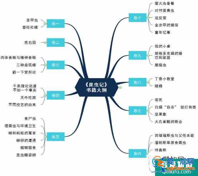 《昆蟲記》思維導圖模板分享？