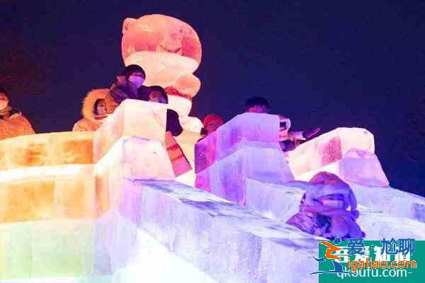 兆麟公園2022年冰燈開園時間 需要預約嗎？