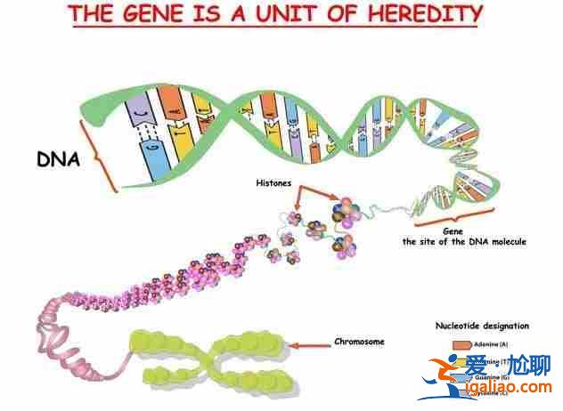 女性人工助孕方法-國內(nèi)最高端的助孕公司？