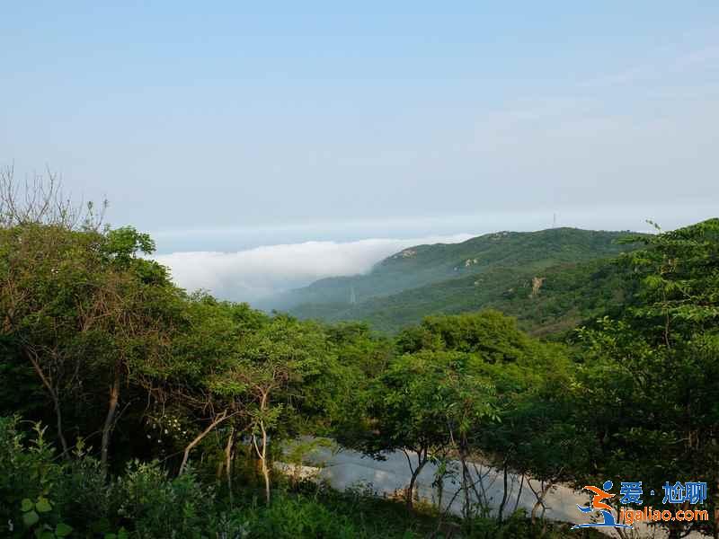 連云港去哪玩，連云港哪里好玩，連云港景點(diǎn)推薦？