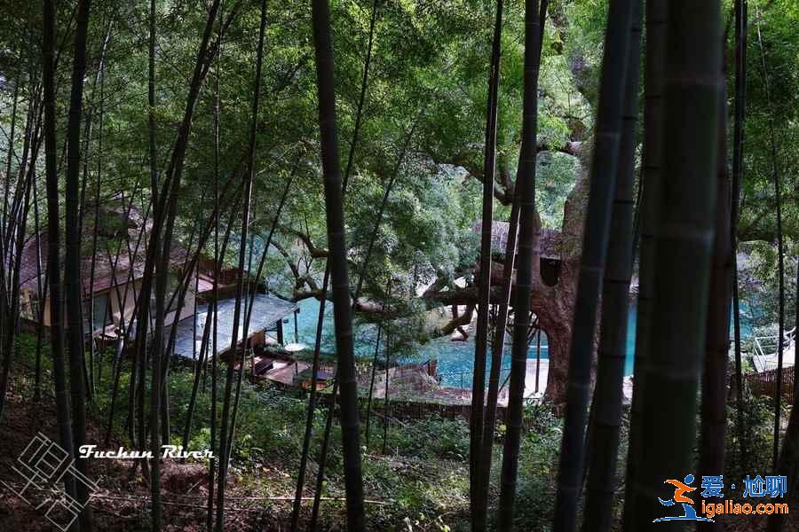 桐廬哪兒好玩,桐廬最值得去的地方,桐廬旅游攻略? 桐廬哪兒好玩,桐廬最值得去的地方,桐廬旅游攻略?