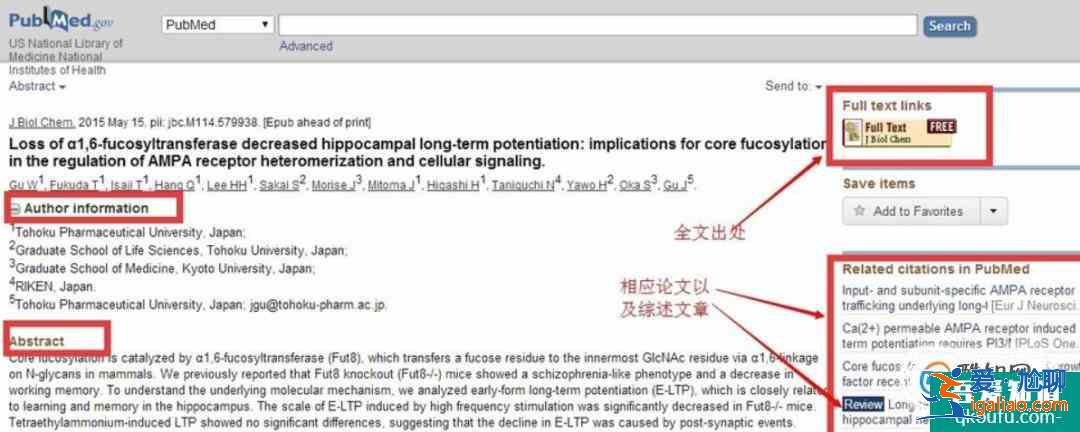 如何使用PubMed? 如何使用PubMed?