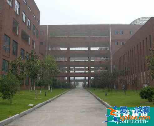 女生學什么專業(yè)就業(yè)前景好？
