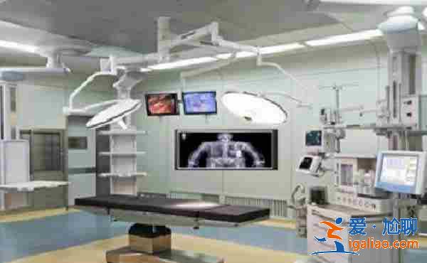 租子宮生孩子_這里有你想要的？