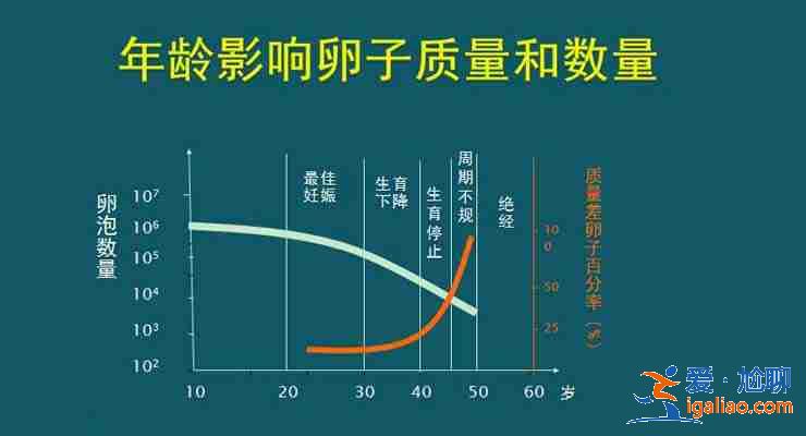 國內包生男孩價格表,要花多少錢？？