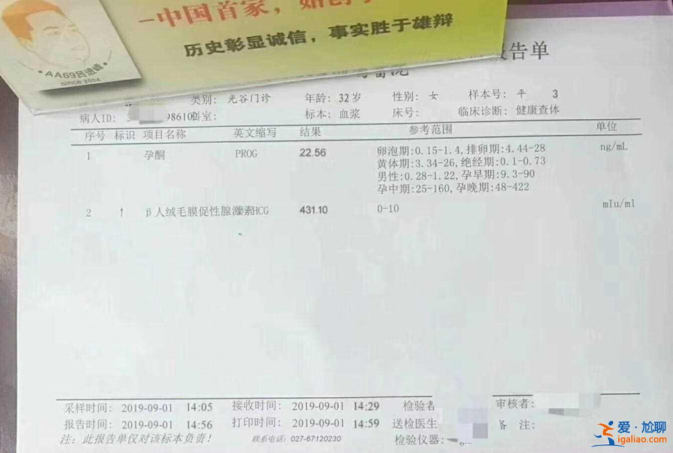 國內代生寶寶-同性試管？