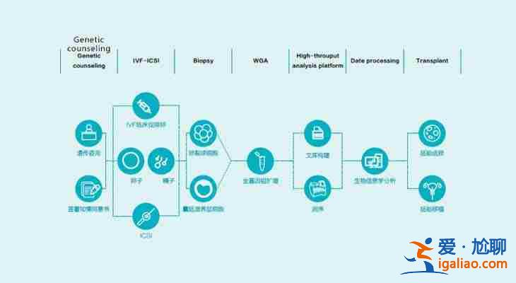 南京最大助孕公司「高端技術(shù)三甲助孕 」？