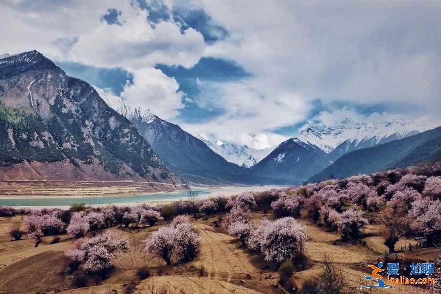 【林芝旅游】林芝12個月景色看點？