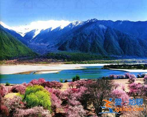 【林芝旅游】林芝12個月景色看點？