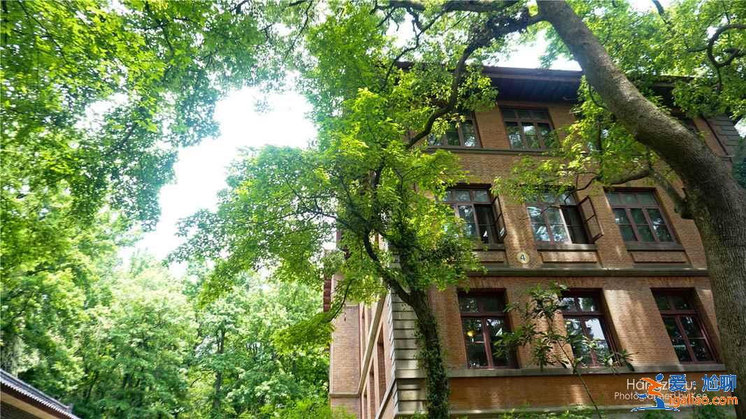 浙大哪個校區景色美,浙大之江校區游玩攻略? 浙大哪個校區景色美,浙大之江校區游玩攻略?