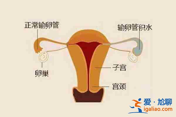 拉薩哪個助孕機構好_10天圓夢？
