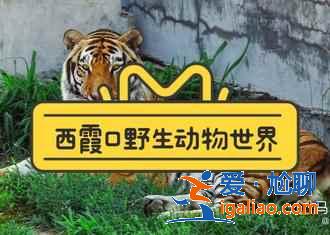 威海好玩嗎,威海哪個景點值得去,威海必游景點推薦? 威海好玩嗎,威海哪個景點值得去,威海必游景點推薦?