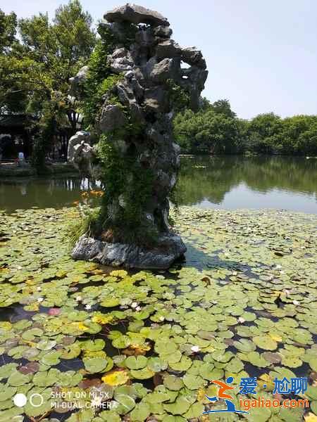 西湖三潭印月好玩嗎,西湖三潭印月有什么好玩的,西湖三潭印月有什么景點? 西湖三潭印月好玩嗎,西湖三潭印月有什么好玩的,西湖三潭印月有什么景點?