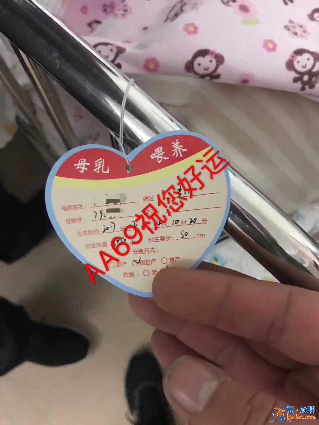 烏魯木齊助孕公司有哪些？