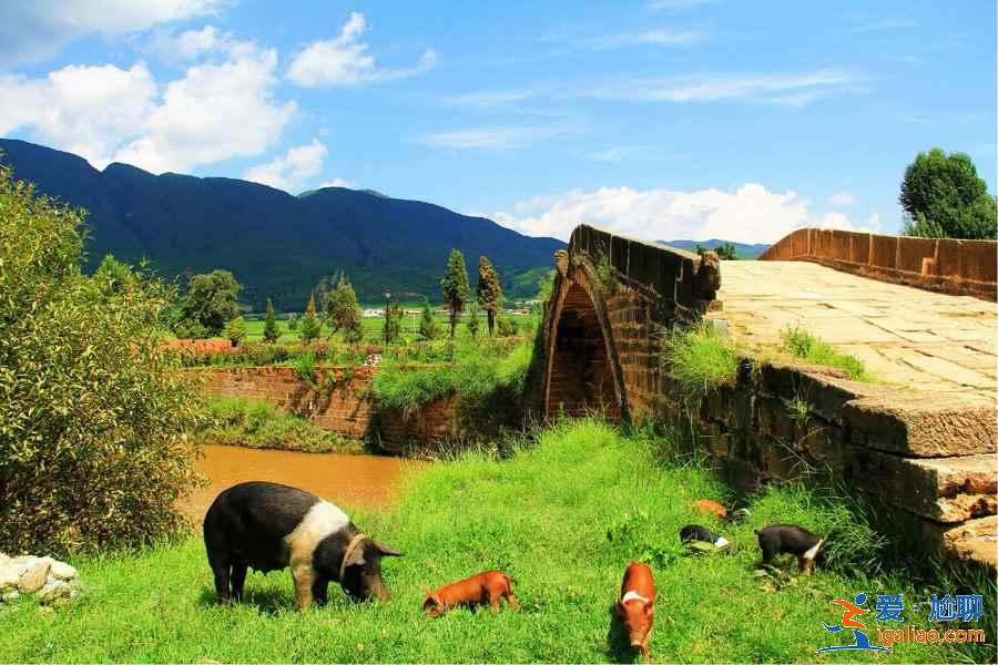 【暑假去哪里旅游便宜】2019暑假去哪里旅游便宜又好玩，暑假適合去哪里旅游？