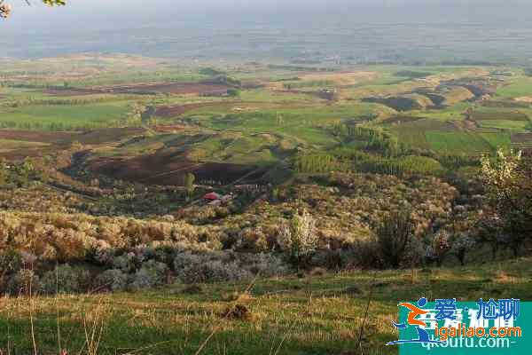 2021新源野果林最佳參觀時(shí)間? 2021新源野果林最佳參觀時(shí)間?