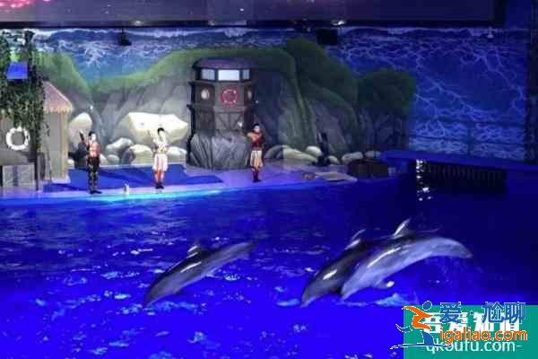 2021南寧海底世界門票多少錢一張 南寧海底世界表演時間 開館時間? 2021南寧海底世界門票多少錢一張 南寧海底世界表演時間 開館時間?