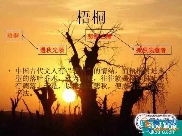 古詩中常見的意象整理？