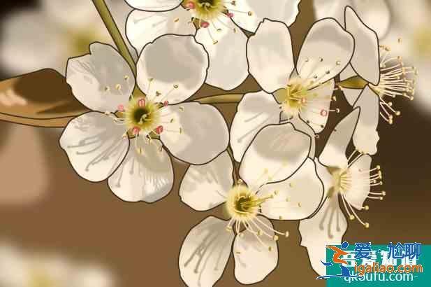 肥城桃花節(jié)是幾月幾日2021 泰安賞花的地方？