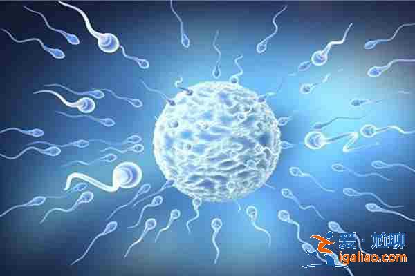 鄭州最大的助孕公司,試管親歷者告訴你? 鄭州最大的助孕公司,試管親歷者告訴你?